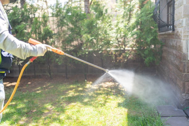Best Mosquito Control Services  in New Franklin, MO